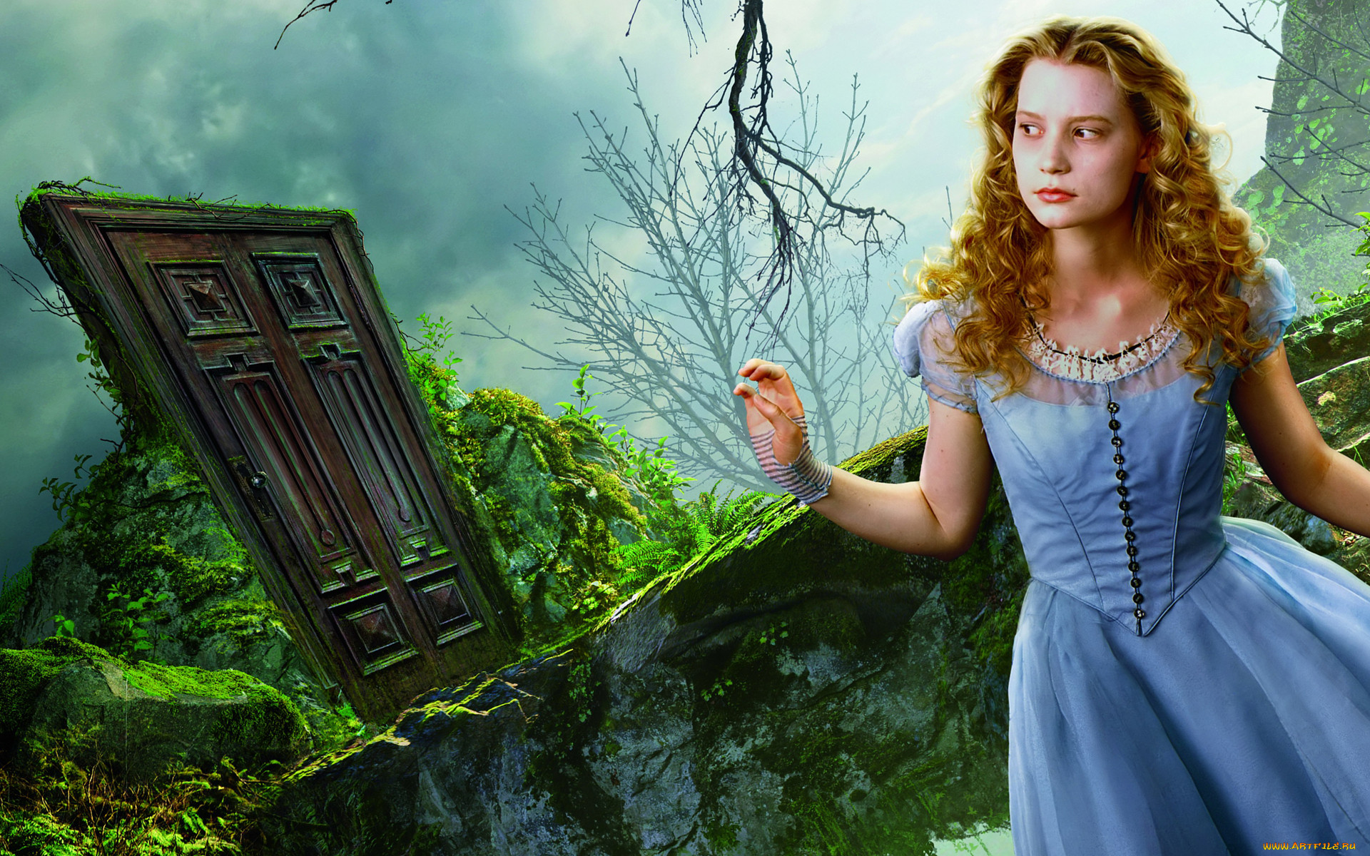 Alice in wonderland фото